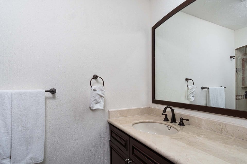 A guest bathroom detail