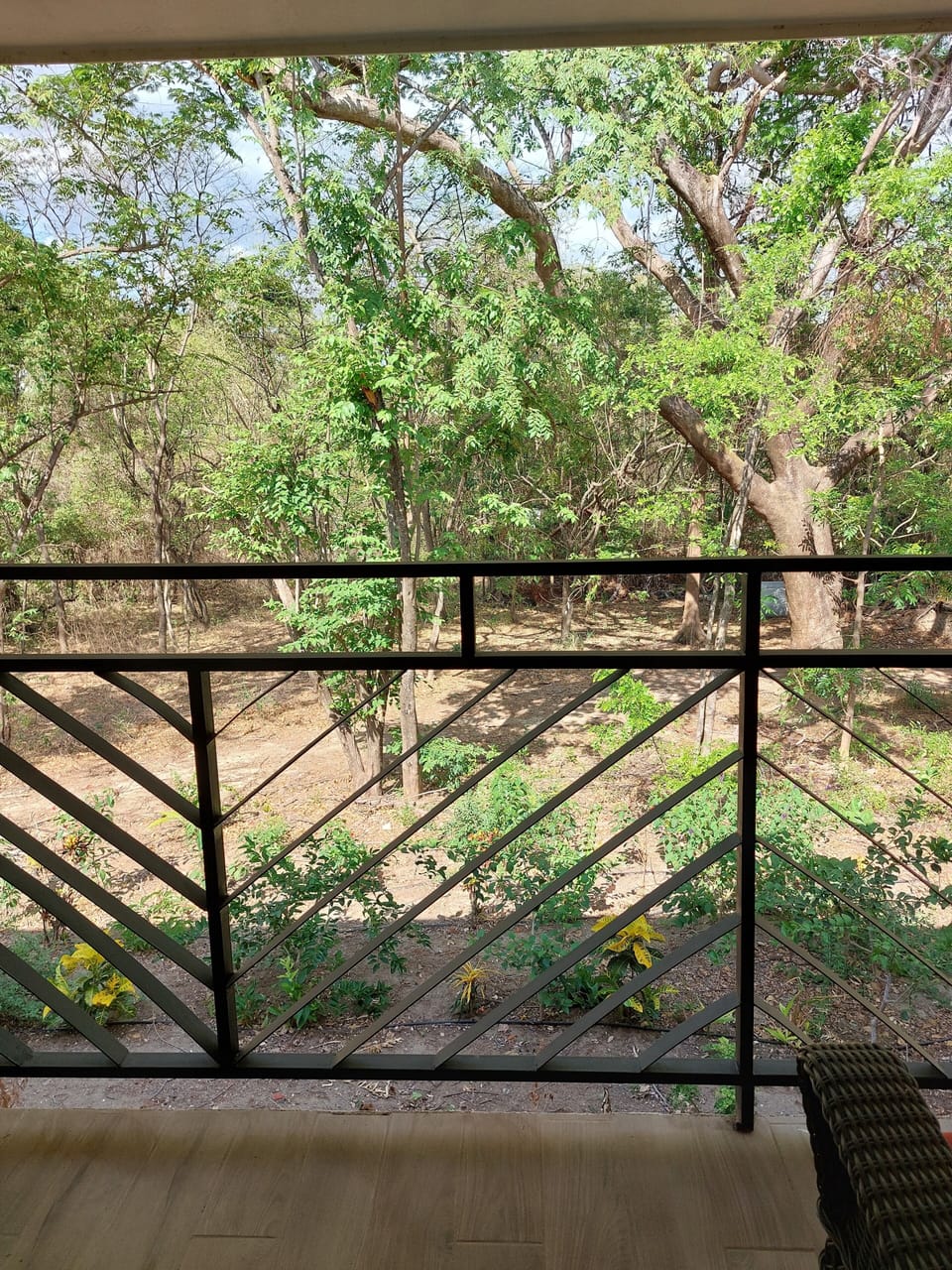 View from room