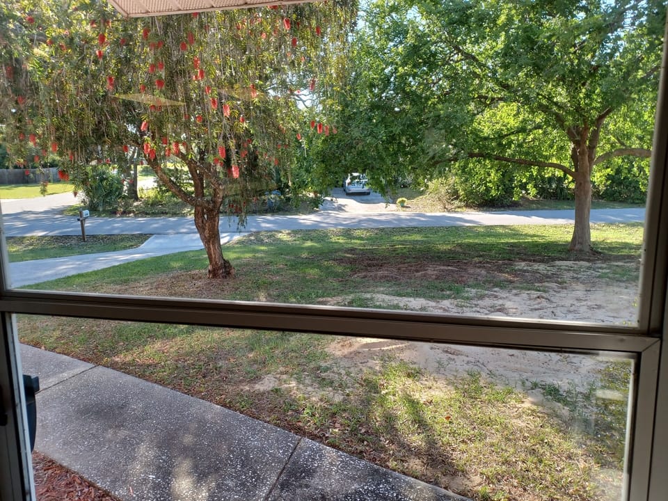 View from the front door. 