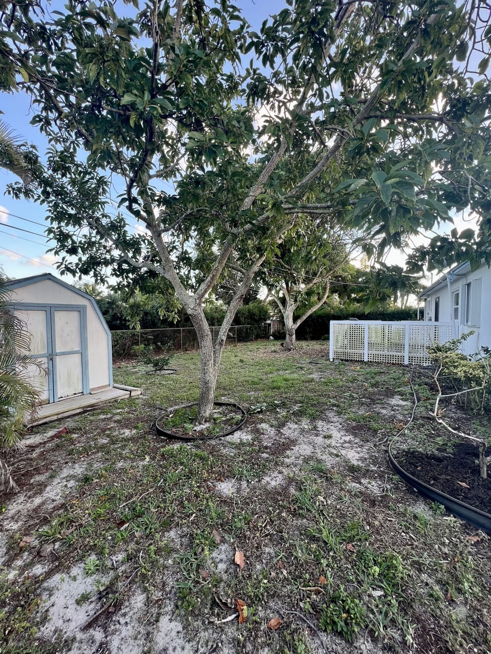 Backyard