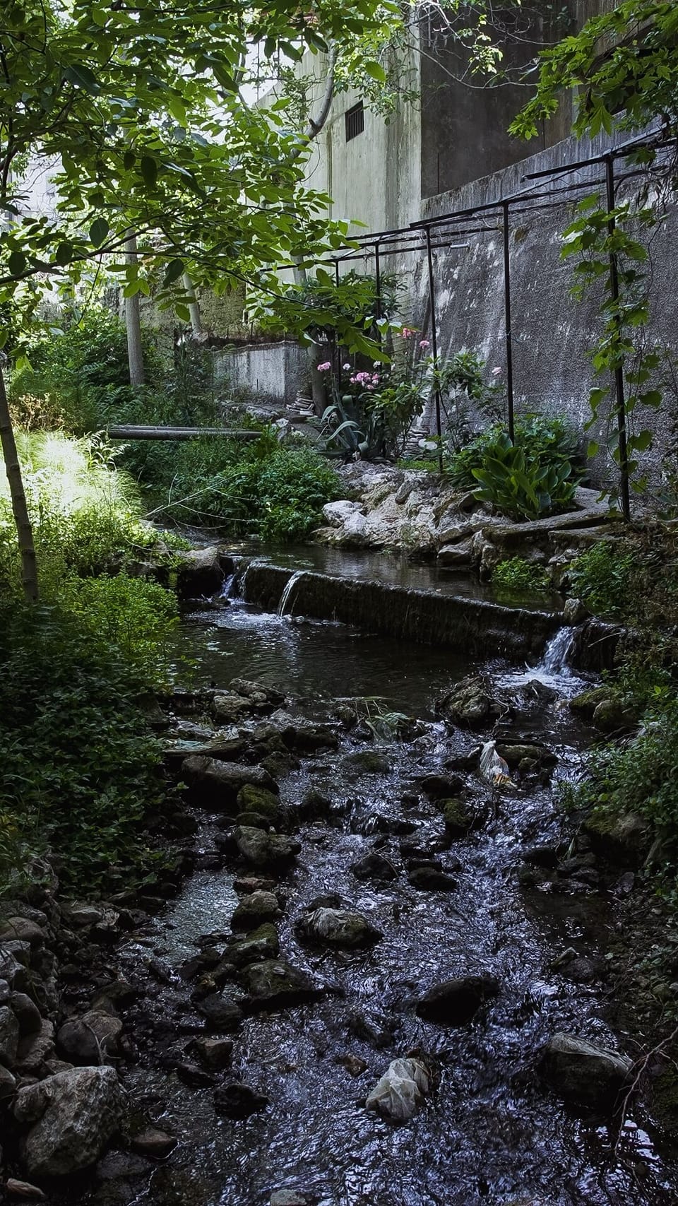 Property grounds