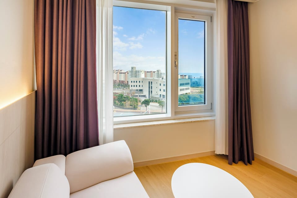 Premier Double Room, 1 Bedroom, Non Smoking, City View | Hypo-allergenic bedding, down comforters, individually furnished, desk