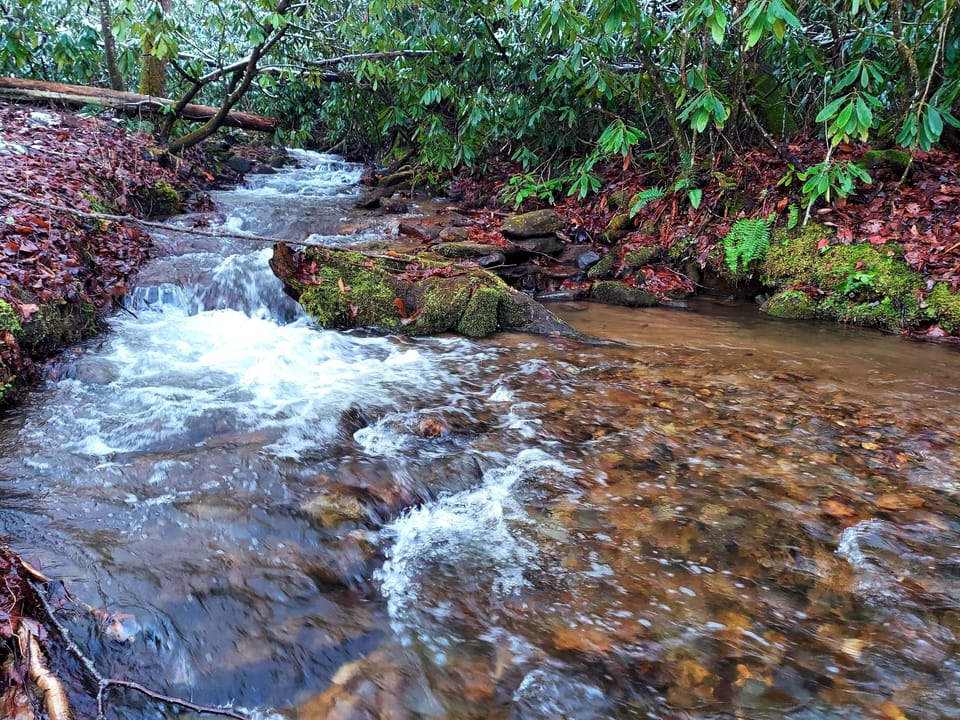 Katie Creek 