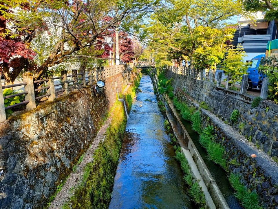 Enago River