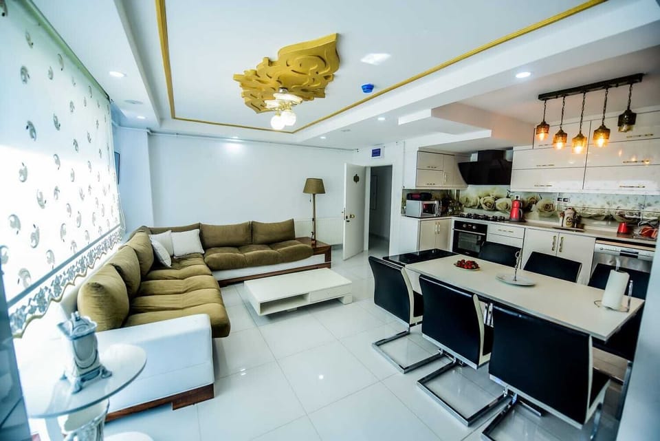 150-inch plasma TV with satellite channels, TV