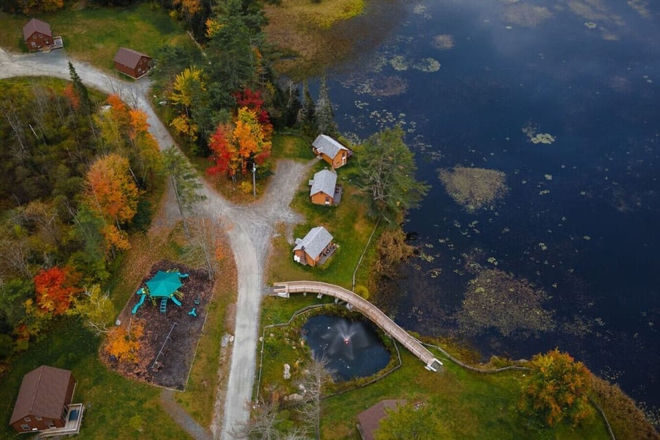 Fall Leaves by the Lake