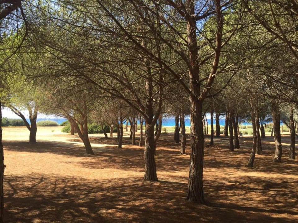 Surroundings [summer] (1-5 km)