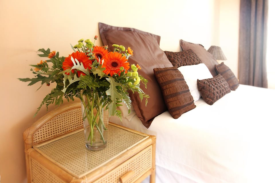 Desk, rollaway beds (surcharge), WiFi (free)