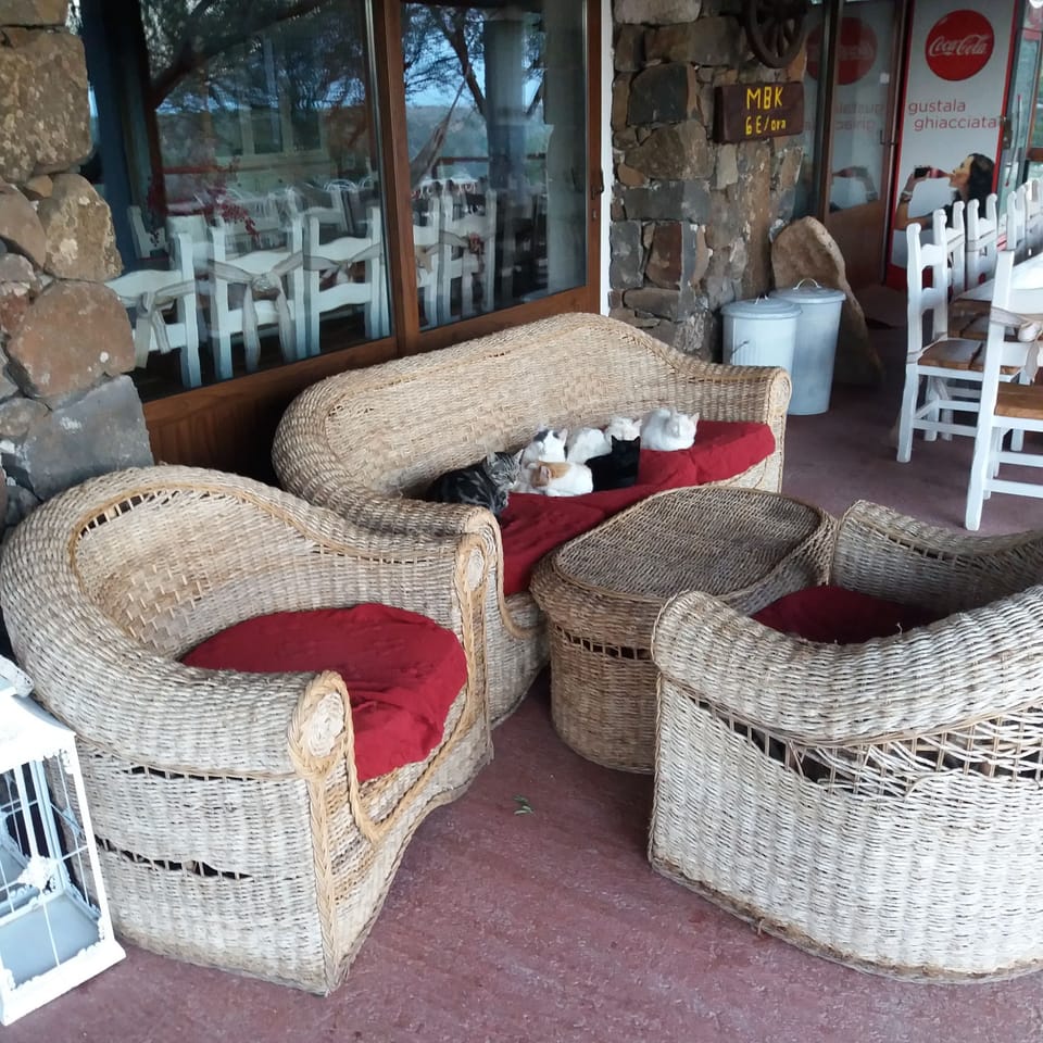 Ecoparco Neule' Country House in Sardinia
