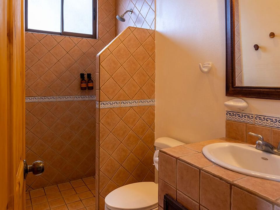 Shower, rainfall showerhead, towels