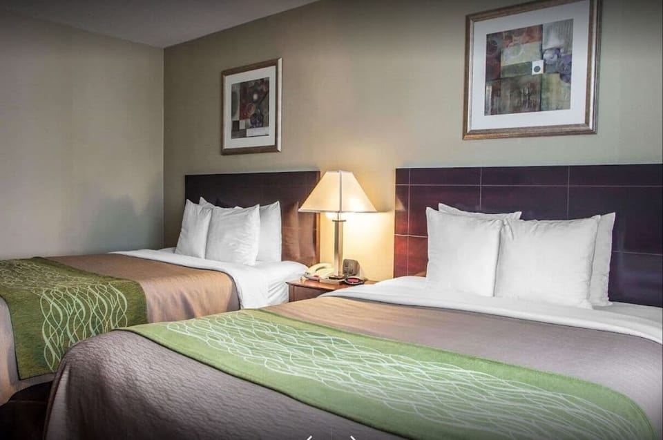 Standard Double or Twin Room | Desk, iron/ironing board, WiFi (free), bed sheets