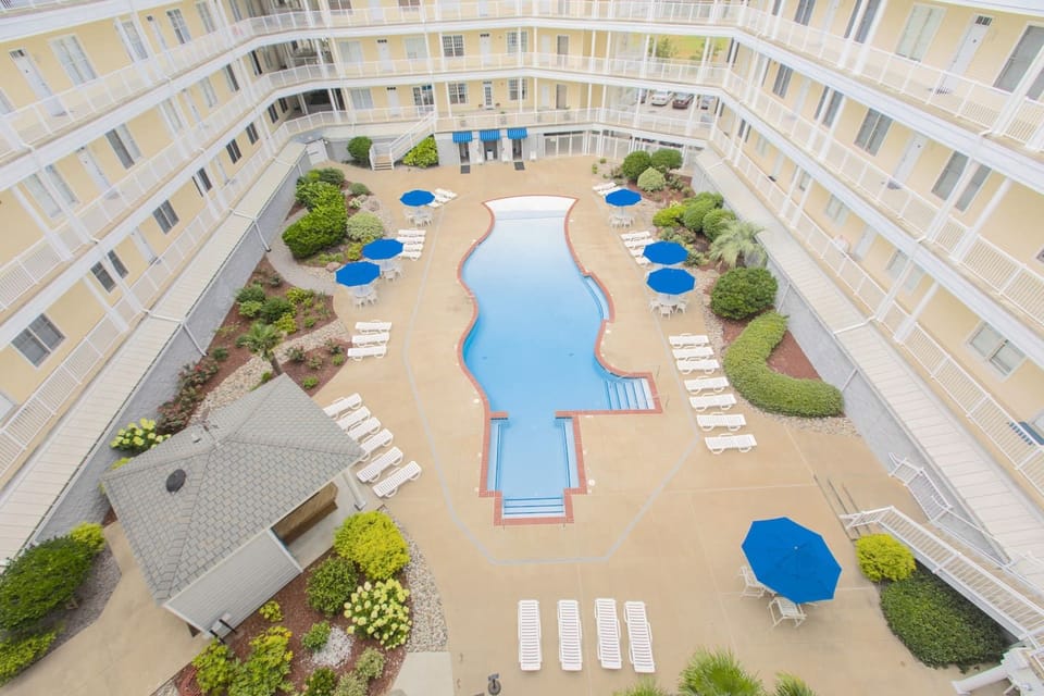 ‍♂️ Tropical Oasis Pool Vibes! ☀️