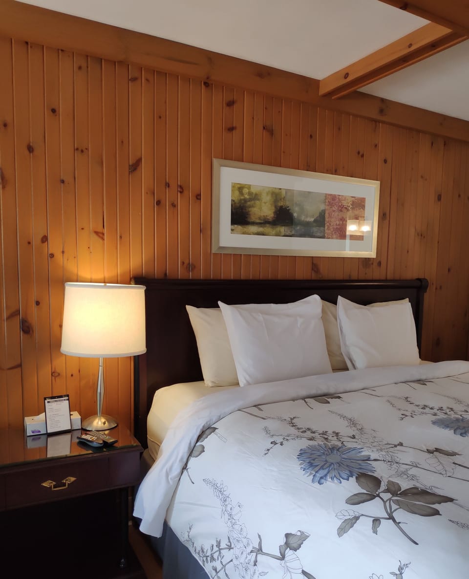 Room, 1 King Bed | Desk, blackout drapes, iron/ironing board (on request)