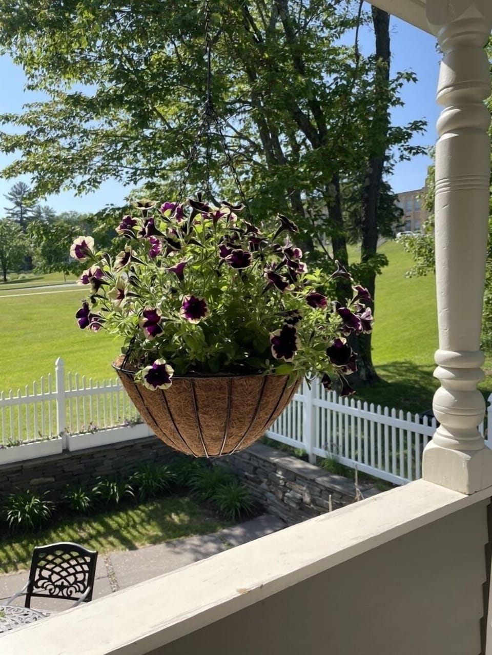 Porch flowers!