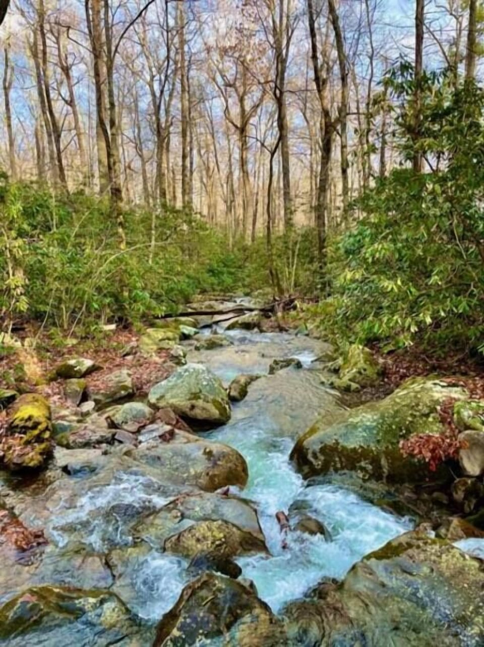 Like to hike, the Smoky Mountain National Park is right near the condo. 