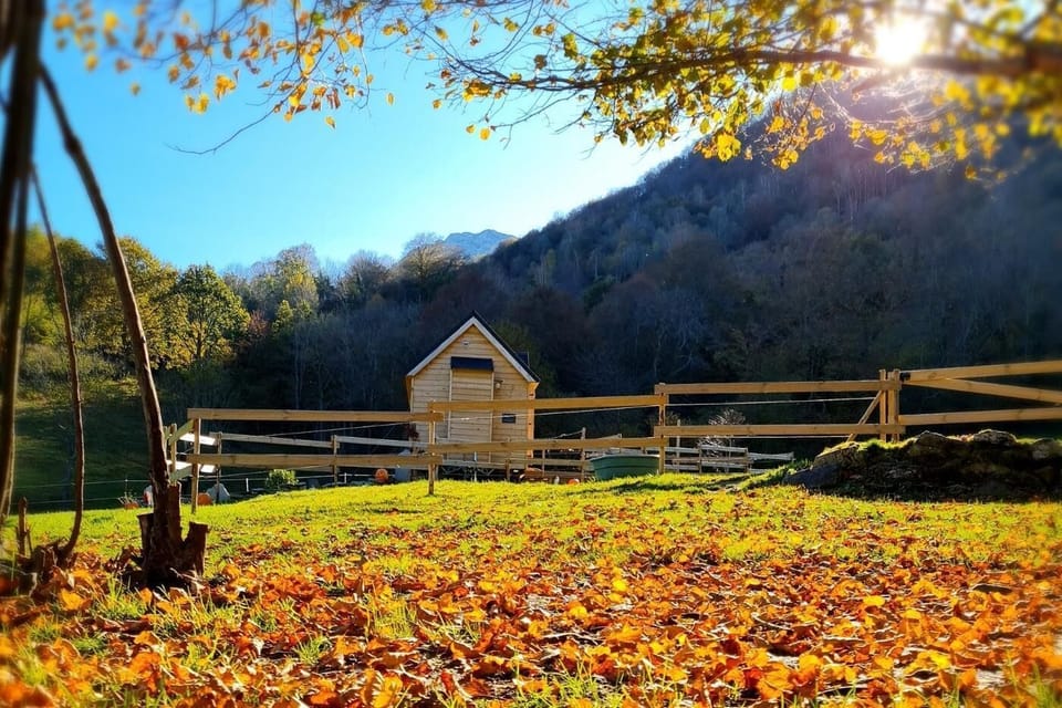 Deluxe Cabin, Ensuite, Mountain View | Garden