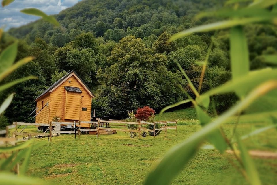 Deluxe Cabin, Ensuite, Mountain View | Garden