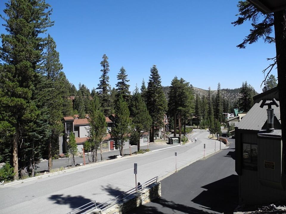 Summer view from balcony