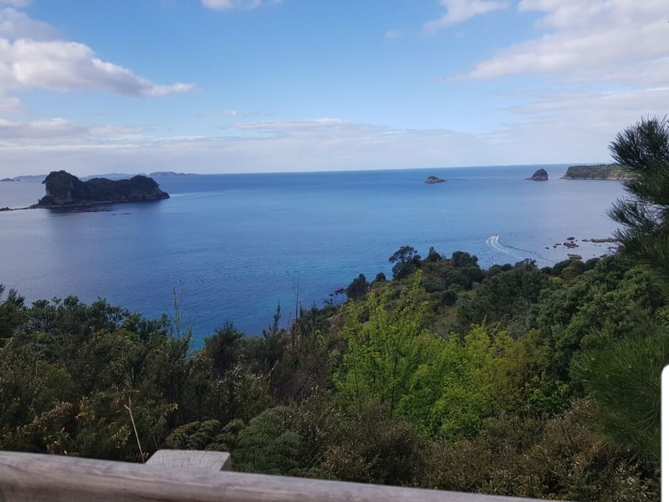 View From Cathedral Cove Walkway