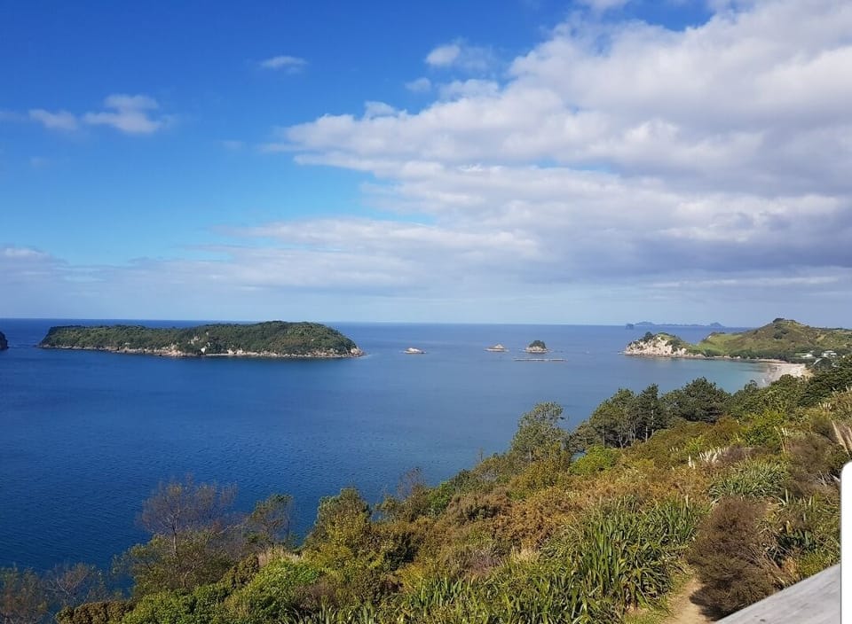 View from Cathedral Cove Walkway