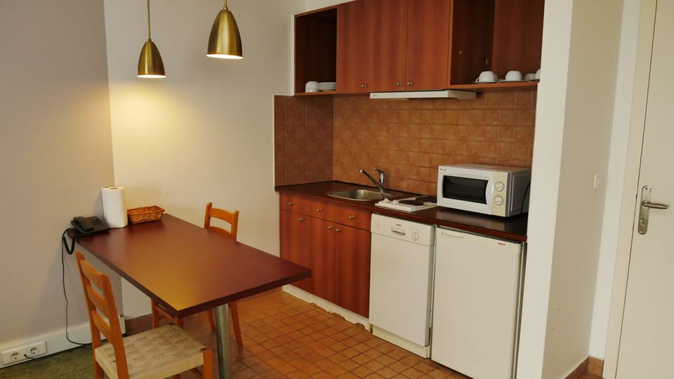 Deluxe Apartment | Private kitchen | Mini-fridge, electric kettle, paper towels