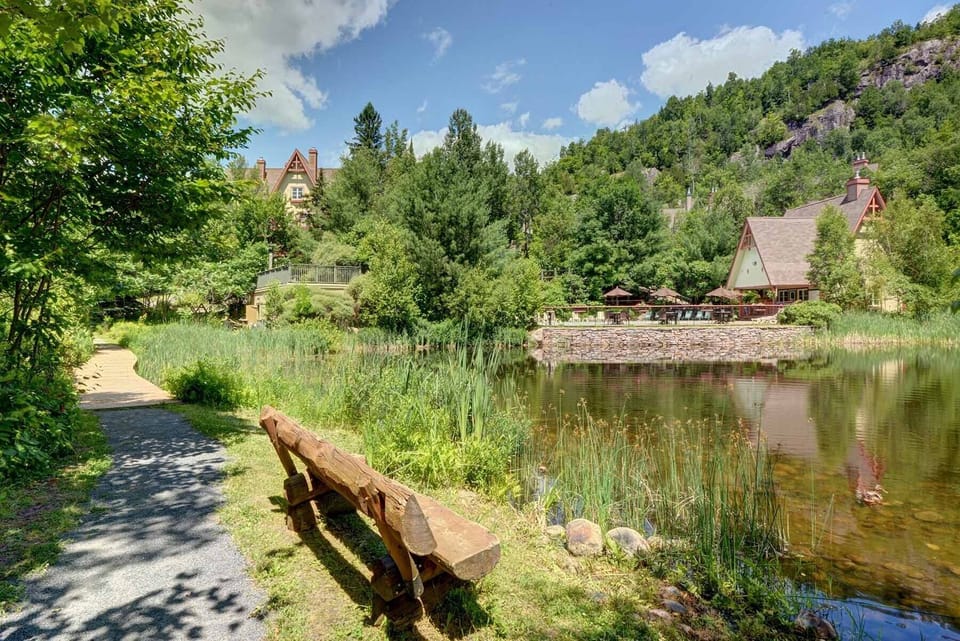 Natural pond next to pool