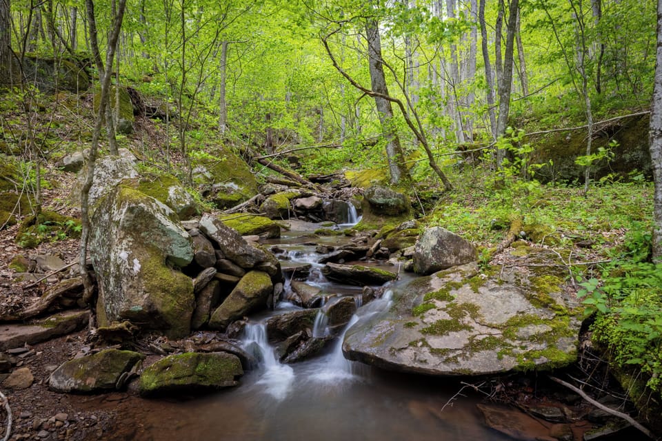 2022-05-23_Ted Slatyfork Farms-31 (1)