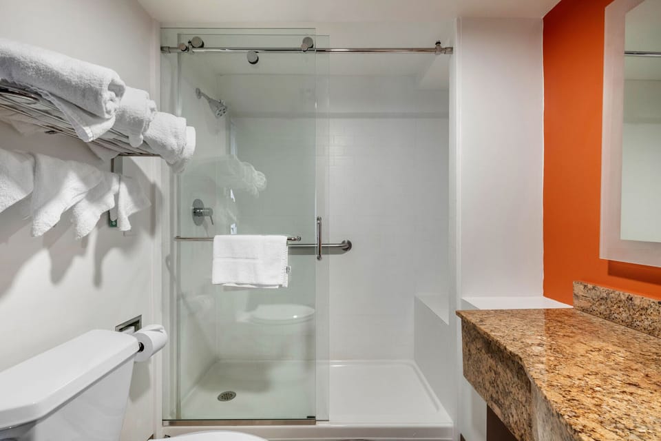 Deluxe Suite, 1 King Bed with Sofa bed, Non Smoking, Kitchen | Bathroom | Bathtub, hair dryer, towels