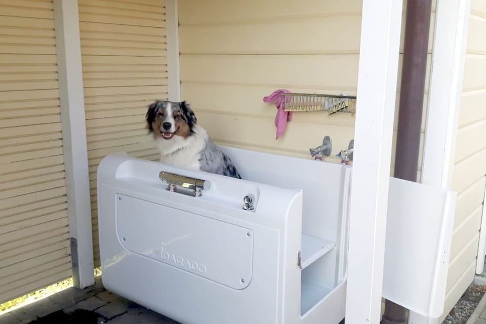 Pet-friendly