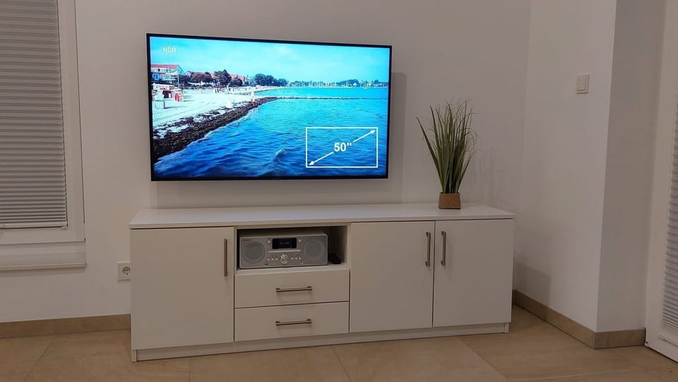 Television