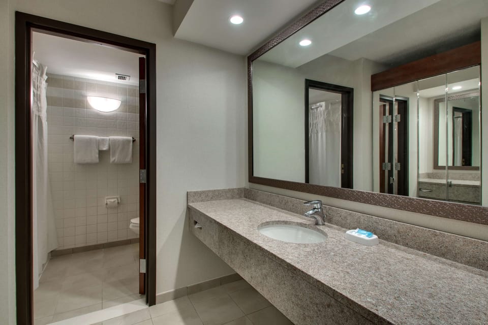 Combined shower/tub, free toiletries, hair dryer, towels