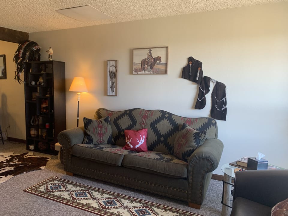 Living room. Fireplace and sleeper sofa