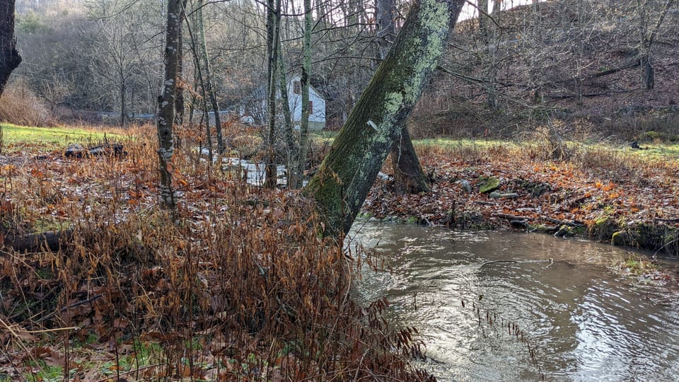 Big Run in late fall, Kate's Cottage (our neighbors' rental) in background.