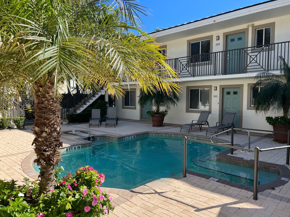 Relax under the palms at the pool with a morning coffee or happy hour cocktail!