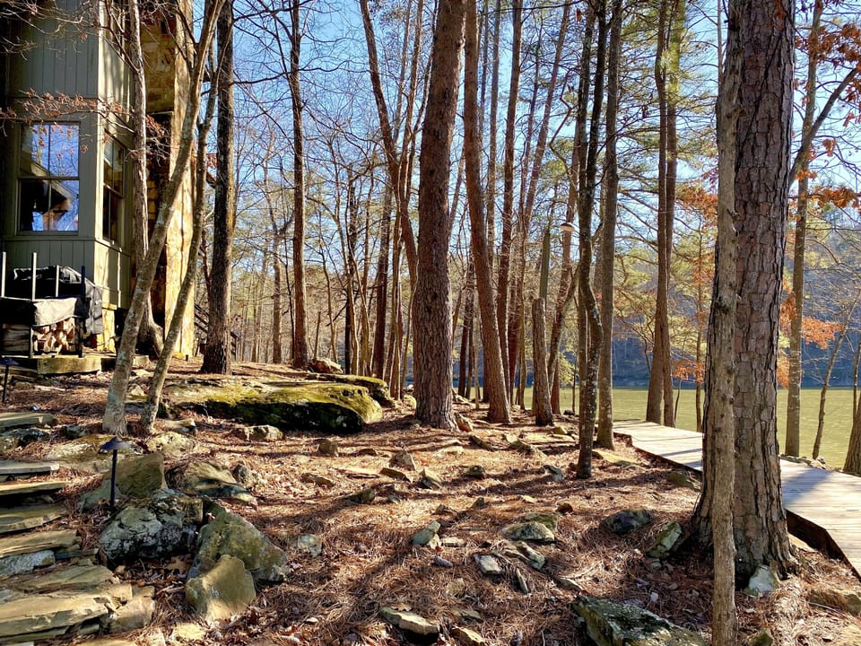 Side yard