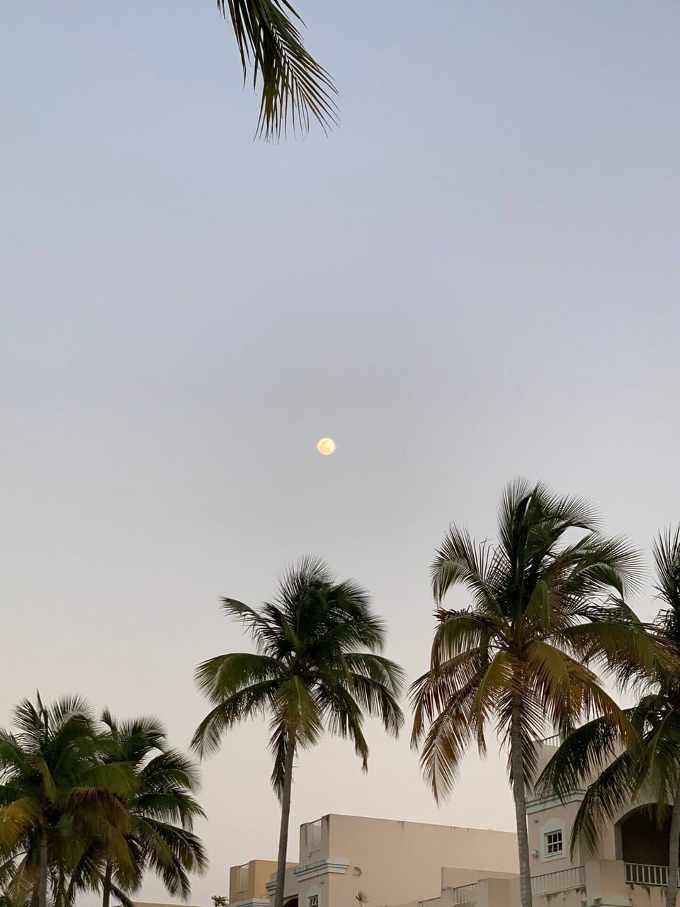 Gorgeous sunsets