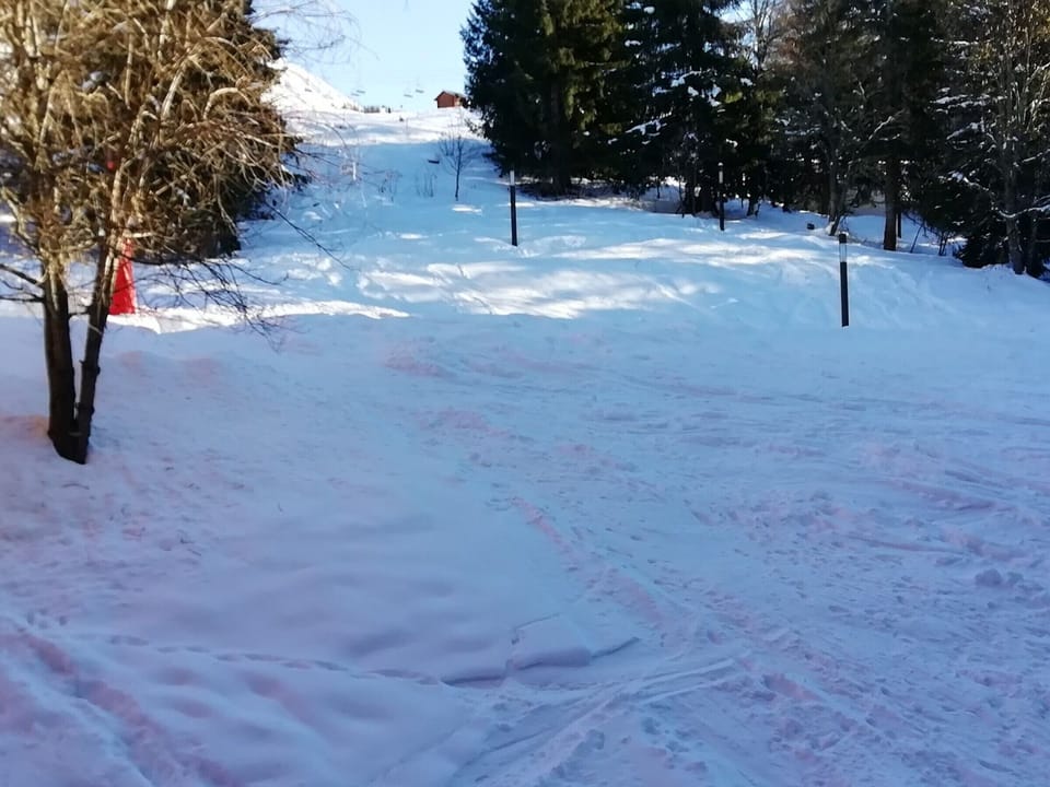 Snow and ski sports