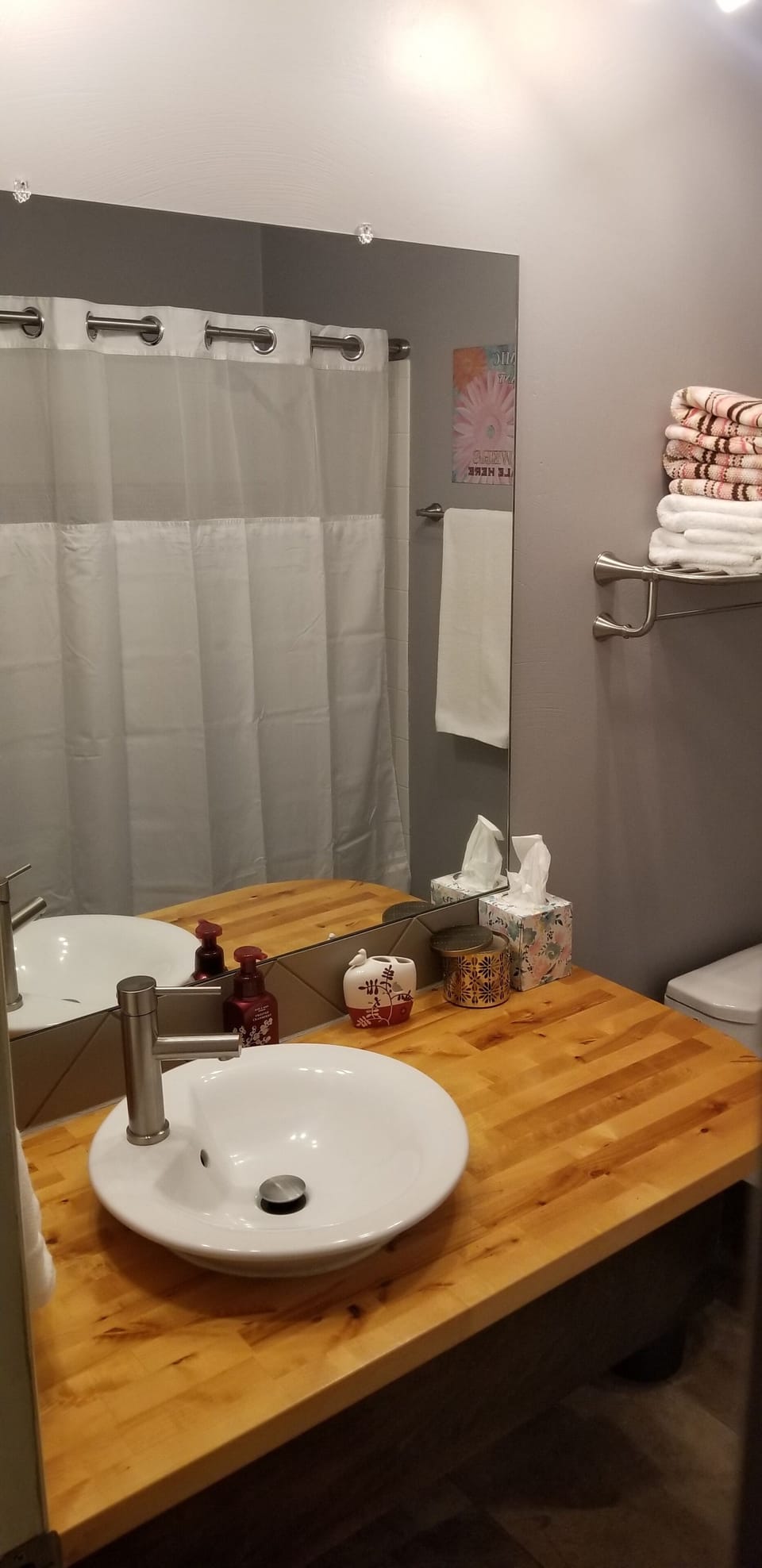 Main Bath Tub Shower