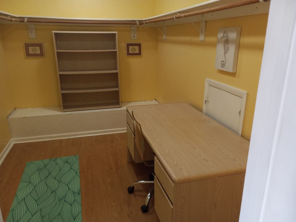 Master Closet- Remote Office/Yoga room