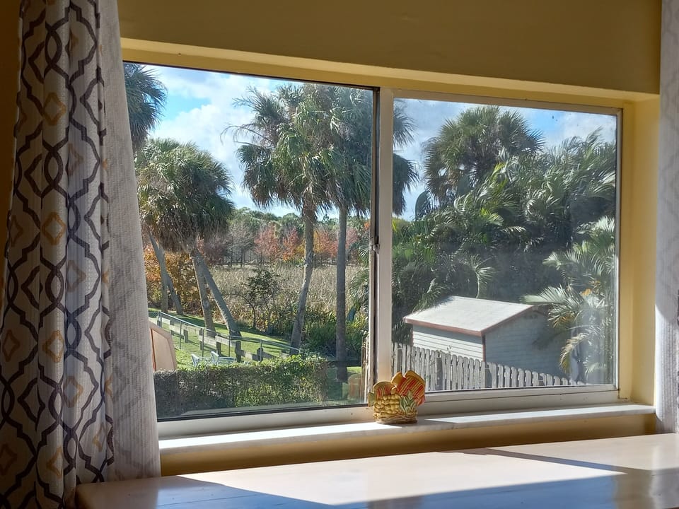 Master bedroom preserve view. 