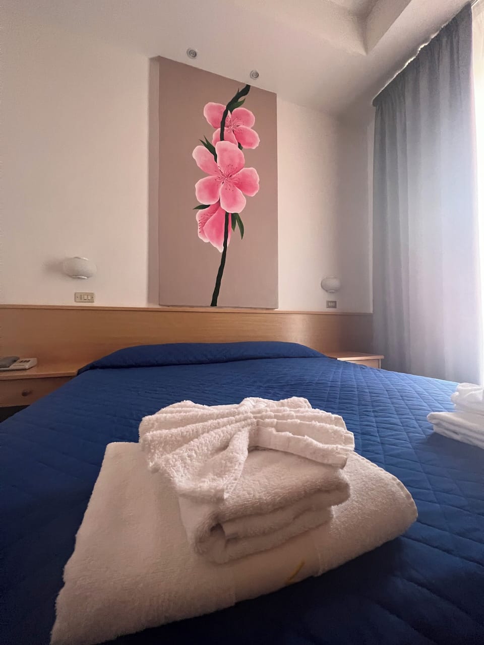 Deluxe Double or Twin Room | In-room safe, desk, free WiFi, bed sheets
