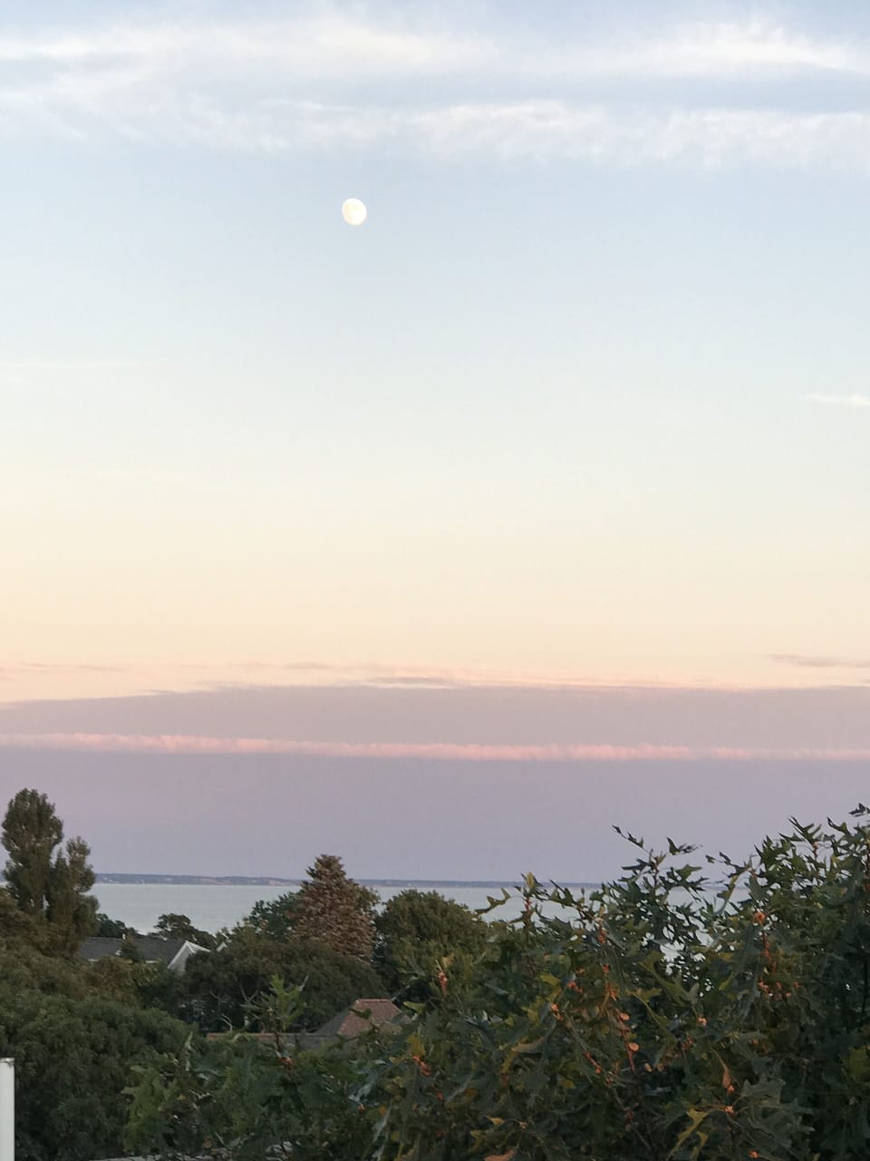 Beach/ocean view