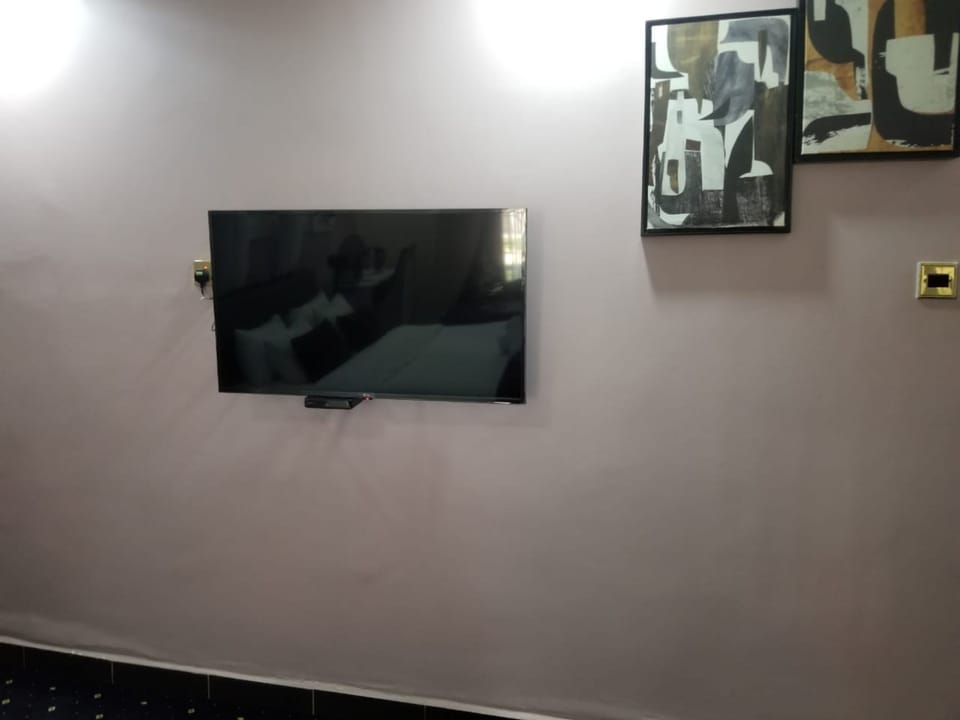Television