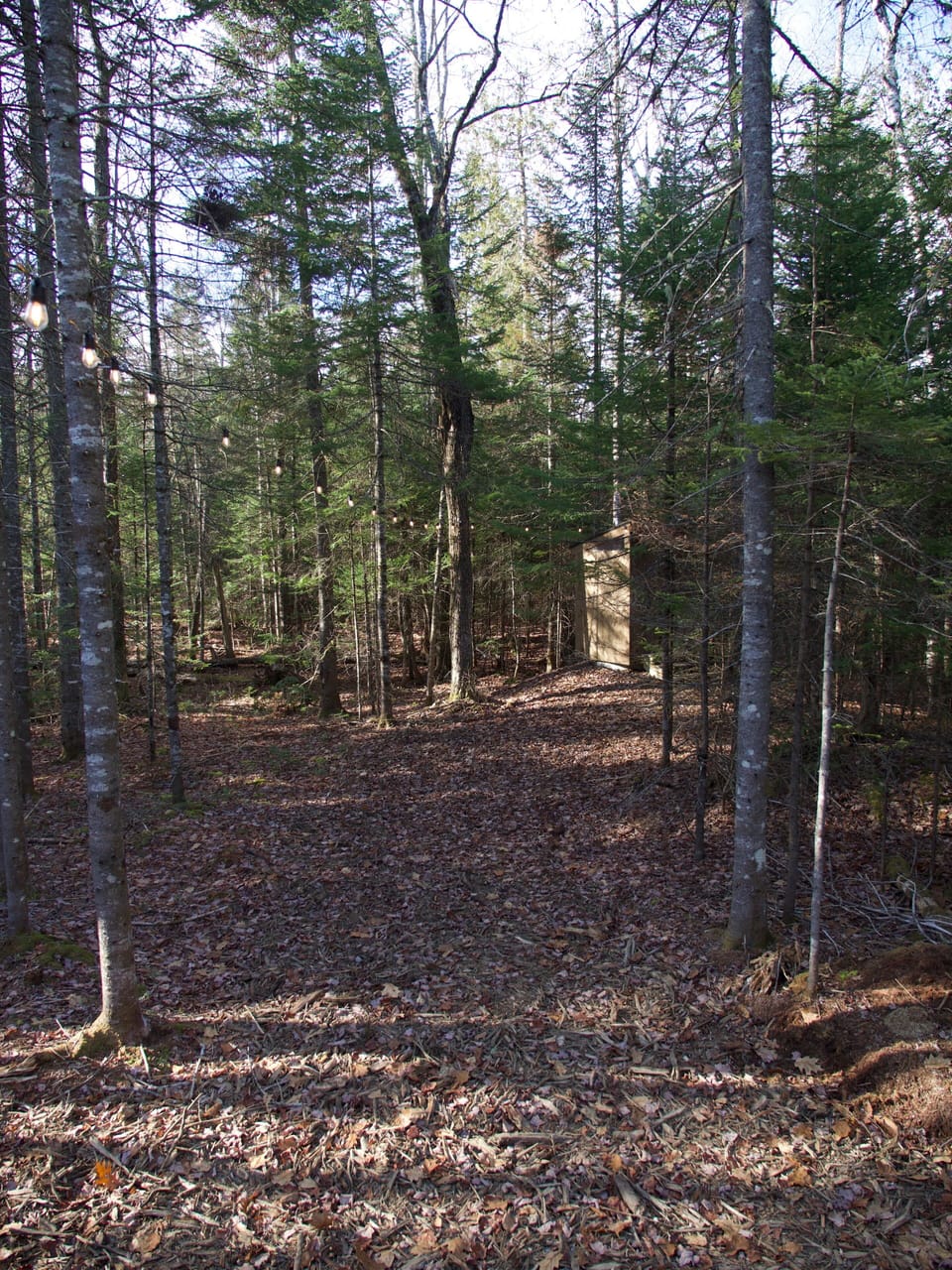 Short lit trail from side door to outhouse