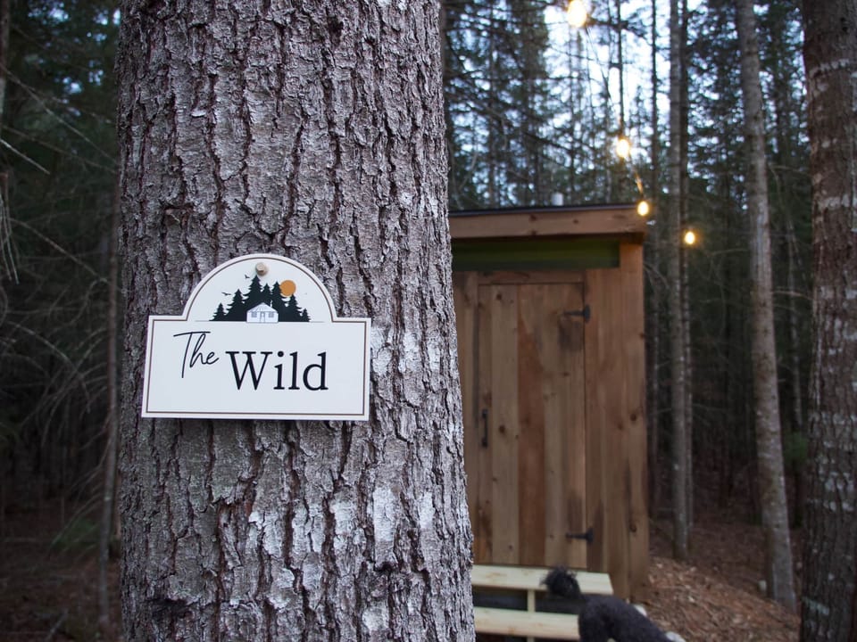 Outhouse view