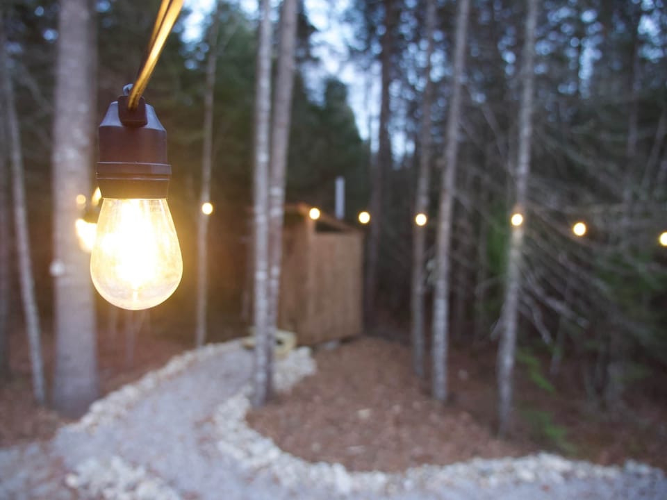 Lights leading to your private outhouse