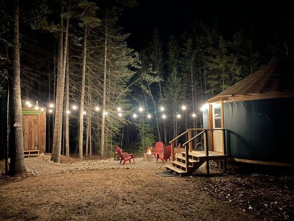 A favorite guest photo submission!