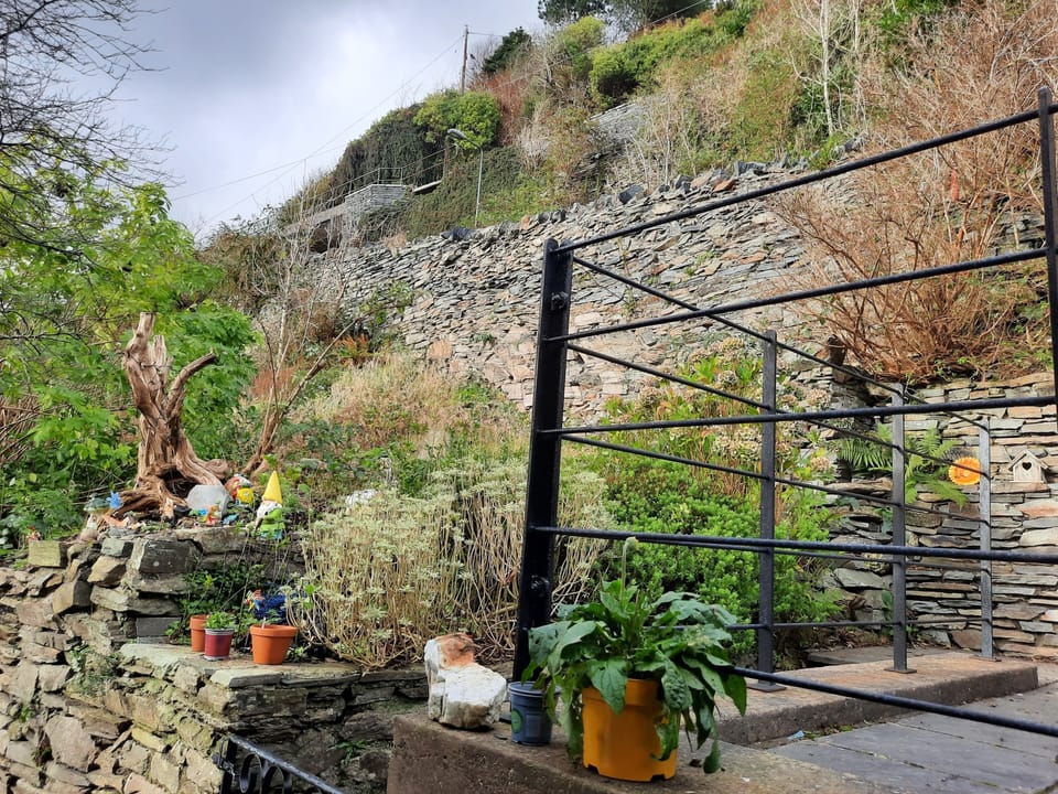 House | Property grounds