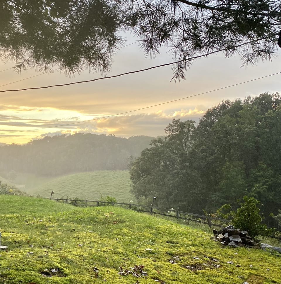 Misty Sunset