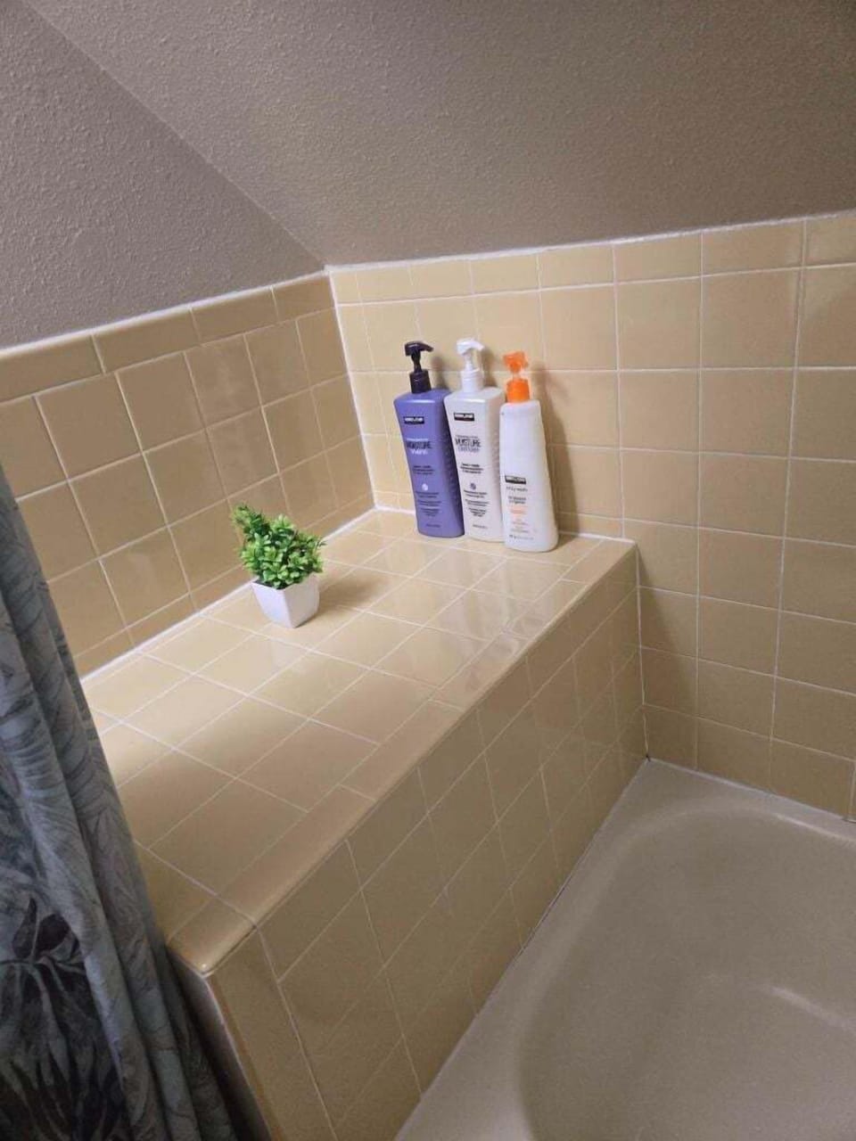 Private Bathroom in Grandma's Bedroom